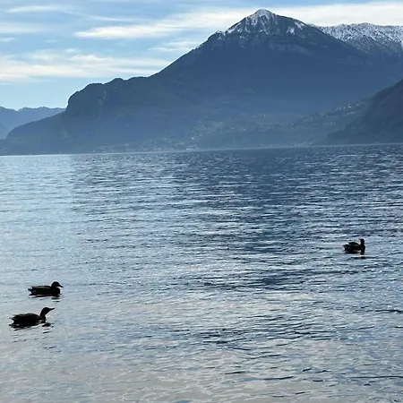 Casa Beppe Relax E Natura * Taceno