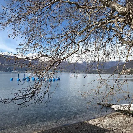 Casa Beppe Relax E Natura Apartamento Taceno